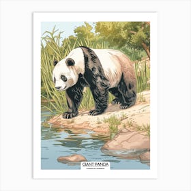 Giant Panda Standing On A River Bank Poster 2 Art Print