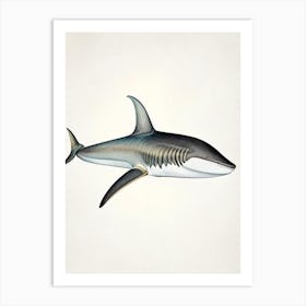 Blacktip Shark Vintage Art Print