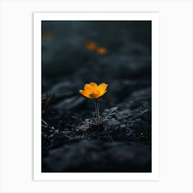 Single Yellow Flower 57 Art Print