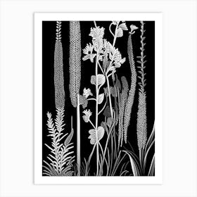 Horsetail Wildflower Linocut 1 Art Print