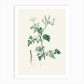 Vintage Botanical John Stephenson and James Morss Churchill Art Print_2731688 Art Print