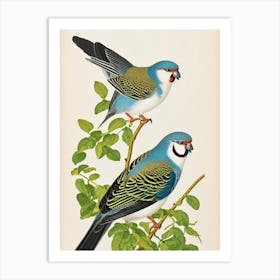 Budgerigar James Audubon Vintage Style Bird Art Print