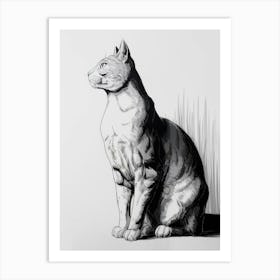 Cat Sitting 4 Art Print