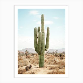 Cactus Life Art Print