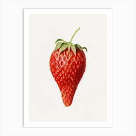 Strawberry - Strawberry Stock Videos & Royalty-Free Footage Art Print