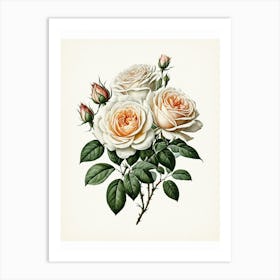 Vintage Galleria Style Rose Art Painting 12 Art Print