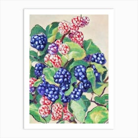 Mulberry 1 Vintage Sketch Fruit Art Print