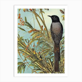 Cuckoo 3 Haeckel Style Vintage Illustration Bird Art Print