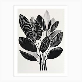 Black And White Print Art Print