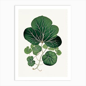 Purslane Leaf Vintage Botanical 2 Art Print