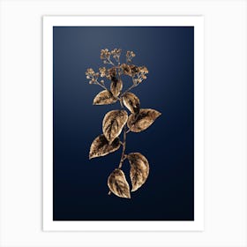 Gold Botanical New Jersey Tea on Midnight Navy n.0831 Art Print