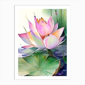 Amur Lotus Watercolour 2 Art Print