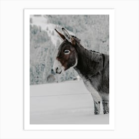 Gray Winter Donkey Art Print