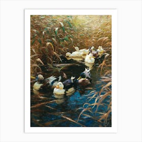 Vintage Ducks In The Pond Art Print