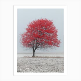 Red Tree In The Snow Art Print