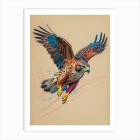 Hawk In Flight 1 Art Print