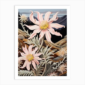 Edelweiss 4 Flower Painting Art Print