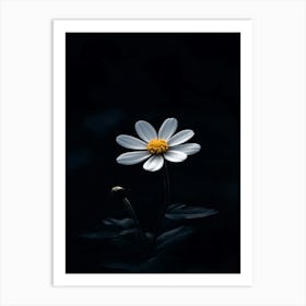 Daisy 9 Art Print