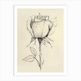 English Rose Dew Line Drawing 2 Art Print