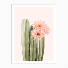 Cactus Flower Art Print