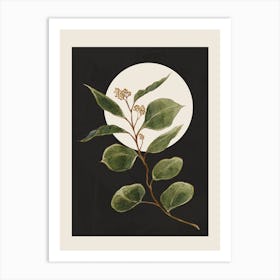 Beautiful Plant Leaves 1 Art Print