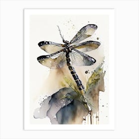 Black Saddlebags Dragonfly Storybook Watercolour 1 Art Print