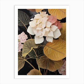 Flower Illustration Hydrangea 1 Art Print