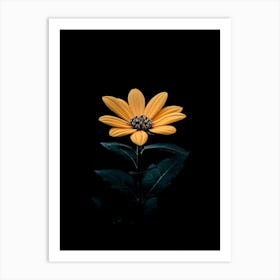 Single Flower In The Dark 4 Art Print