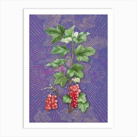 Vintage Redcurrant Plant Botanical Illustration on Veri Peri n.0962 Art Print