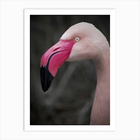 Flamingo Art 1 Art Print