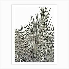 Acropora Intermedia Iiii Linocut Art Print