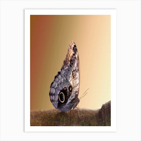 Butterfly On A Branch Art Print