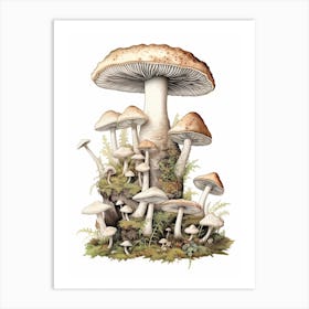 Storybook Mushrooms 2 Art Print