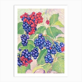 Boysenberry 1 Vintage Sketch Fruit Art Print