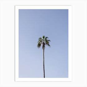 Palm tree, clear sky, Tenerife, Canary Islands Art Print