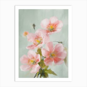 Apple Blossom Flowers Acrylic Pastel Colours 3 Art Print