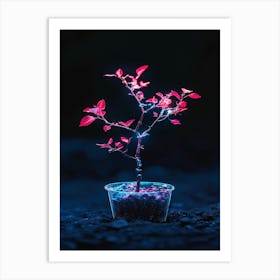 Small Plant In A Pot Art Print