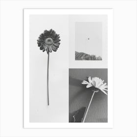 Gerbera Flower Photo Collage 3 Art Print