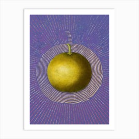 Vintage Adam's Apple Botanical Illustration on Veri Peri n.0290 Art Print