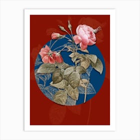 Vintage Botanical Pink Boursault Rose on Circle Blue on Red n.0158 Art Print