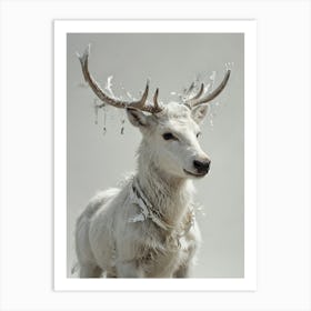 Reindeer Art Print