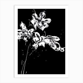 White Flower Black Background Painting 2 Art Print