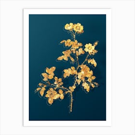 Vintage White Sweetbriar Rose Botanical in Gold on Teal Blue n.0081 Art Print