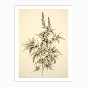 Yomogi Japanese Mugwort Vintage Japanese Botanical Art Print