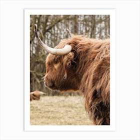 Highland Cow In Holland Art Print