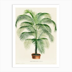 Palm Tree Art Print