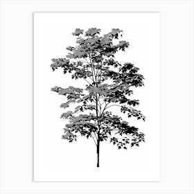Maple Tree Simple Geometric Nature Stencil 1 1 Art Print