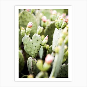 Spring Desert Blooming Cactus Heart Art Print
