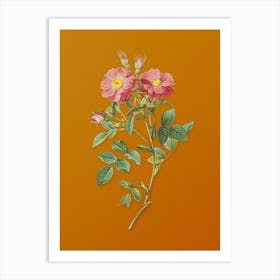 Vintage Queen Elizabeth's Sweetbriar Rose Botanical on Sunset Orange n.0495 Art Print