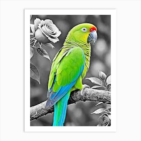 Parrot On A Branch Art Print